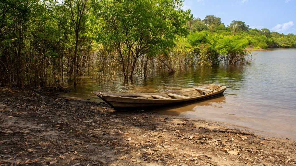 Canoa de madeira às margens de rio na floresta amazônica