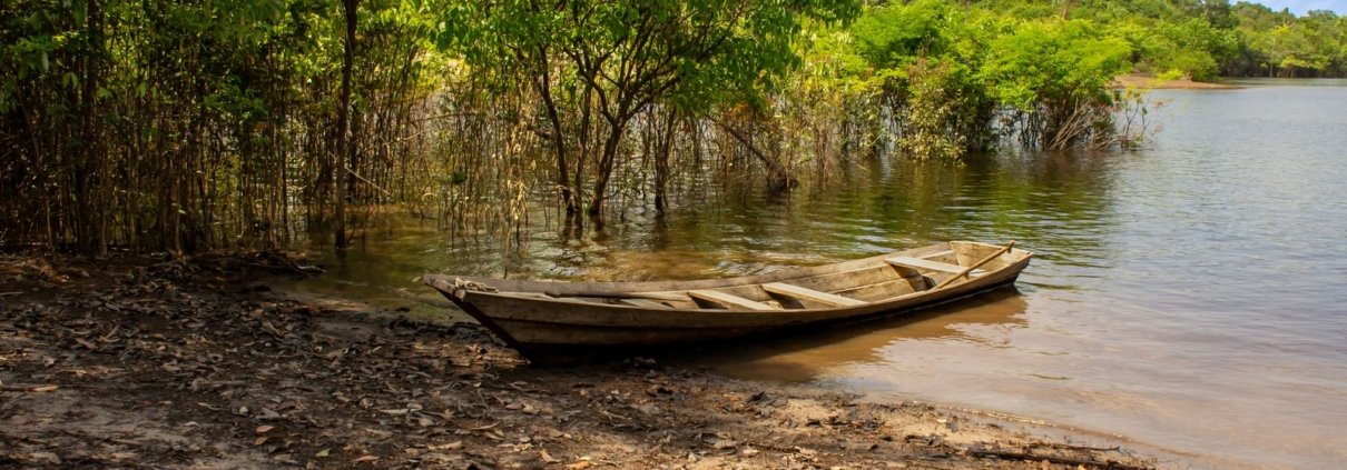 Canoa de madeira às margens de rio na floresta amazônica
