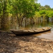 Canoa de madeira às margens de rio na floresta amazônica