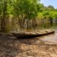Canoa de madeira às margens de rio na floresta amazônica